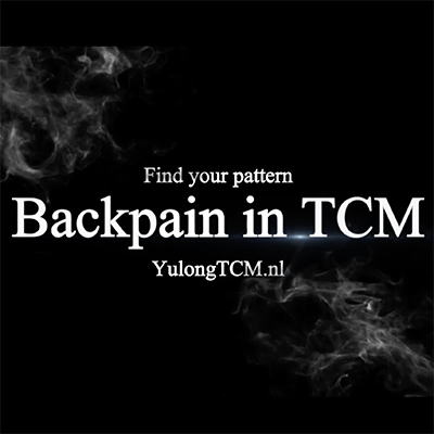 BACK PAIN IN TCM: FIND YOUR PATTERN (RU) — RECORDING