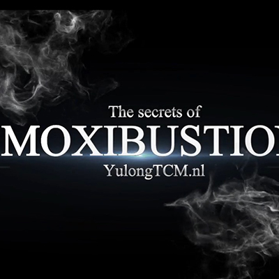 Moxibustion Webinar Recording (RU) – Warming & Restoring Qi