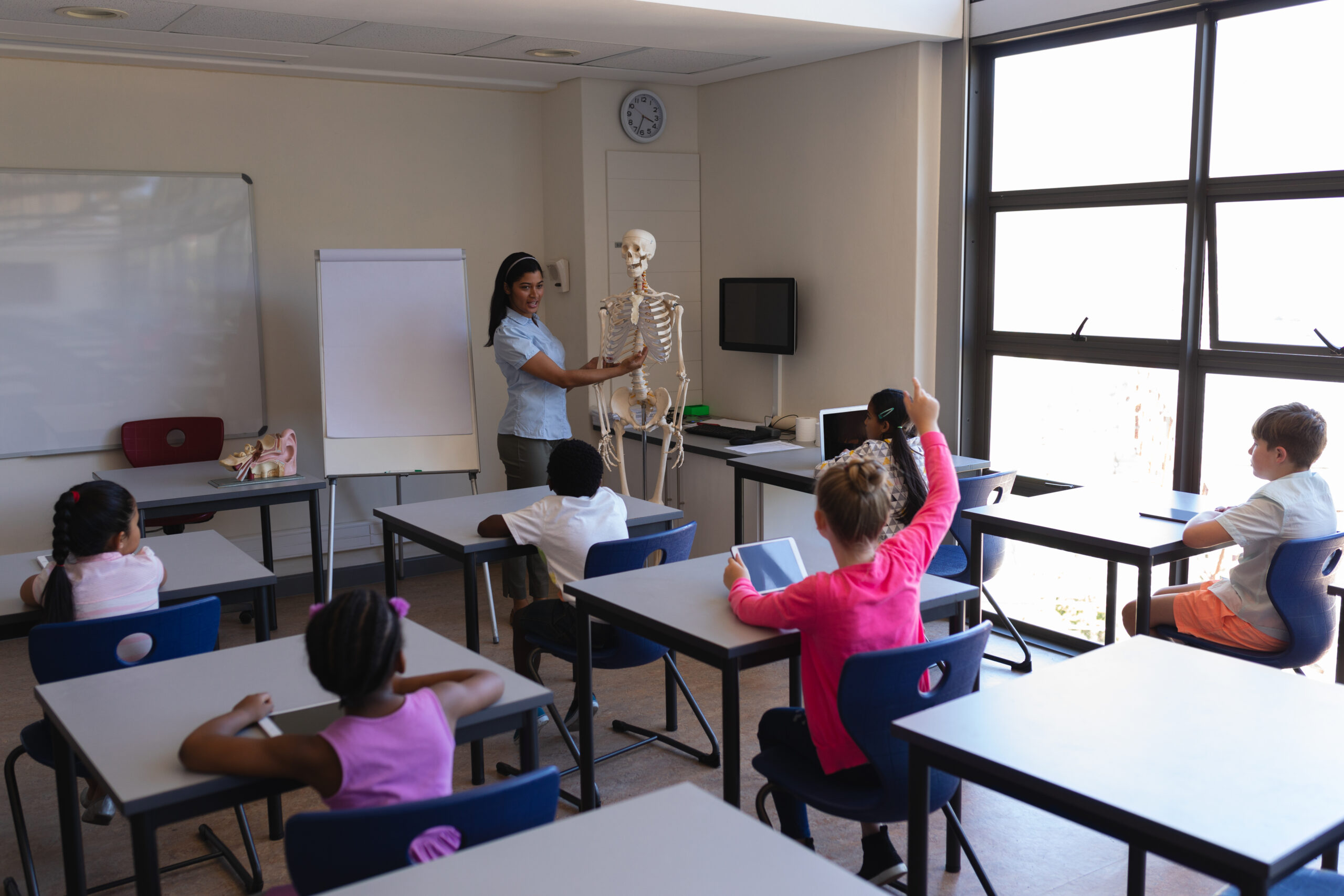 Front view of female teacher explaining skeleton parts to schoolkids in classroom of elementary school