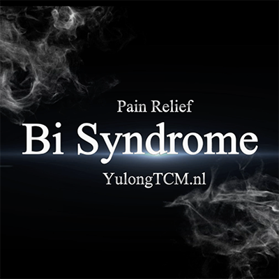 Bi Syndrome in Traditional Chinese Medicine (RU) — Recording